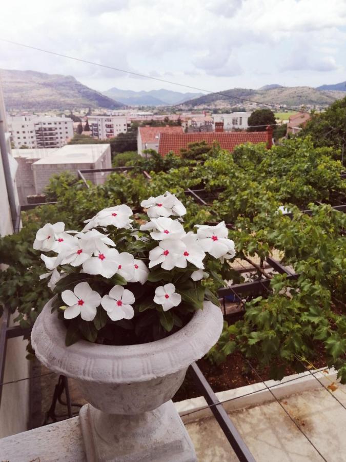 Apartamento Nemanja Trebinje Exterior foto